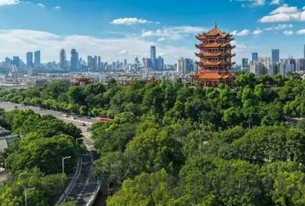 足球比分沙尔克-沙尔克，足球比分背后的荣光与沉浮